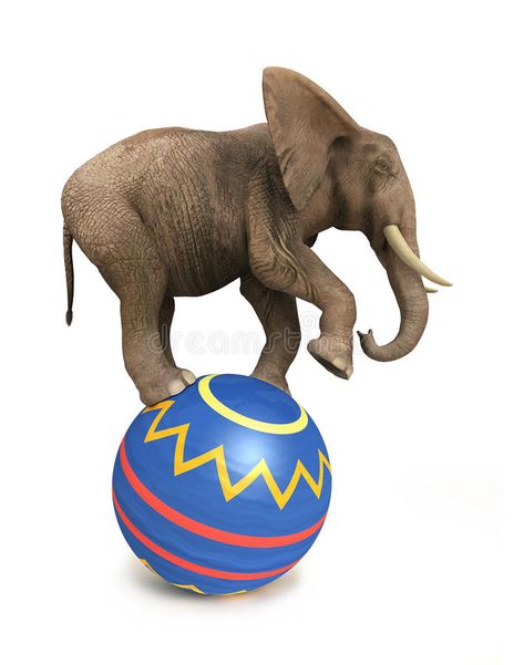 Elephant balance on ball. On white #Sponsored , #Paid, #affiliate, #Elephant, #ball, #white, #balance Circus Performer, Clown Tattoo, Circus Elephant, Circus Performers, Send In The Clowns, Circus Art, Elephant Painting, Book Projects, Photo Posters