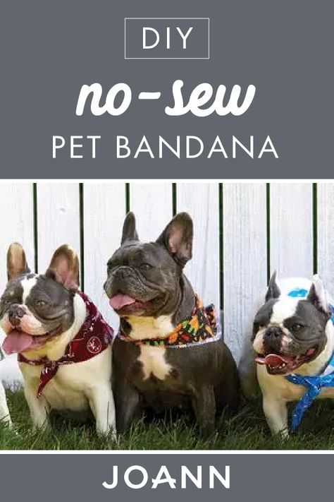 Diy Pet Bandana No Sew, How To Make Dog Bandanas No Sew, Homemade Dog Bandanas, How To Make Dog Bandanas, Dog Bandanna Diy, Diy Dog Bandana No Sew, No Sew Dog Bandana, Dog Bandana Tutorial, Bandana Tutorial