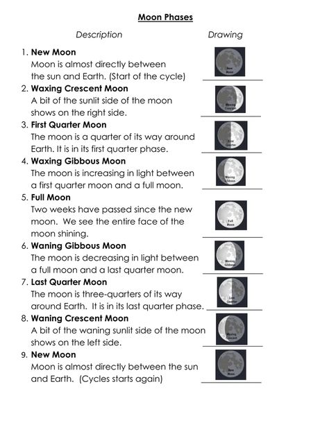 Eclipse Homeschool, Astronomy Printables, Phases Of The Moon Project, Moon Phases Drawing, Free Science Printables, Science Lessons Elementary, Solar System Activities, Learning Websites For Kids, Science Printables