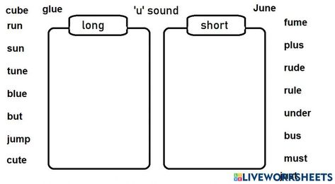 Sorting Worksheet, India School, Second Language, Year 11, School Subjects, Phonics, Sound, Coding