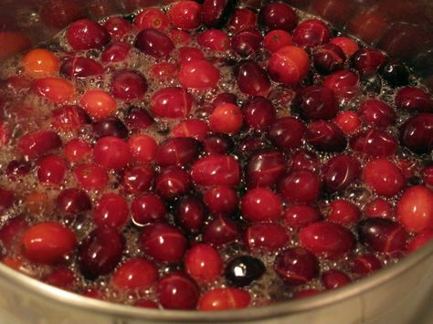 SL Cranberry Jezebel Sauce Cranberry Chutney Recipe, Jezebel Sauce, Jam Making, Cranberry Relish, Cranberry Chutney, Cranberry Sauce Recipe, Cranberry Bread, Cranberry Sauce Homemade, Chutney Recipes