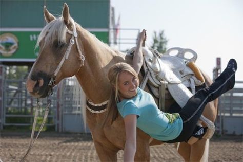 View topic - Closed~Please delete - Chicken Smoothie Heartland Episodes, Watch Heartland, Heartland Actors, Chicken Smoothie, Amy Fleming, Heartland Cbc, Heartland Quotes, Heartland Amy, Ty Heartland