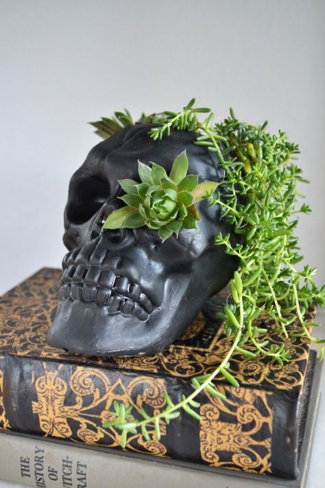 DIY Skull Succulent Planter - Sage to Silver Halloween Succulent Ideas, Sugar Skull Planter, Halloween Diy Ideas, Spooky Plants, Skull Succulent, Halloween Plants, Pumpkin Diorama, Grunge Decor, Black Plants