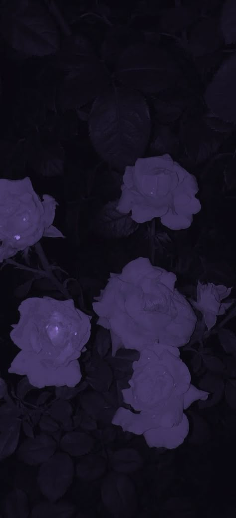 Dark Purple Lockscreen, Purple And Silver Wallpaper, Black And Purple Background, Goth Aesthetic Wallpaper, Deep Wallpaper, Chill Wallpaper, Light Purple Wallpaper, Purple Goth, Dark Purple Wallpaper