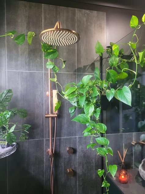 Plant Shower Aesthetic, Plants In Shower Hanging, Plants In Shower Ideas, Shower Vibes, Indoor Planting, Bathroom Beautiful, Modern Small Bathrooms, Aesthetic House, Grass Wall