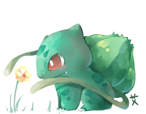 Bulbasaur Pokemon Bulbasaur, Pokemon Starters, Pokémon Master, Pokemon Drawings, All Pokemon, Pokemon Fan Art, My Pokemon, Catch Em All, Pokemon Pictures