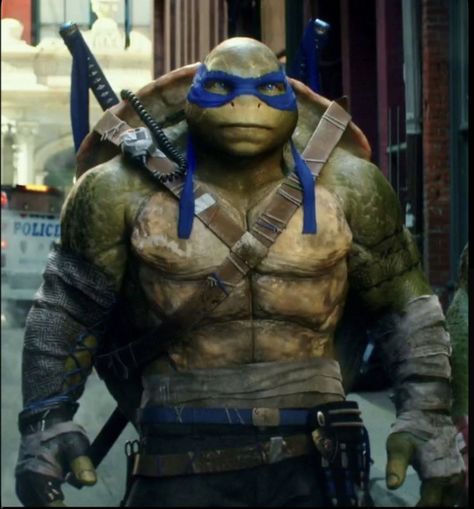 Leo Headcanons, Blue Ninja Turtle, Leonardo Turtle, Ninja Turtles 2014, Tmnt Leonardo, Leonardo Ninja Turtle, Tmnt Leo, Tmnt Characters, Leonardo Tmnt