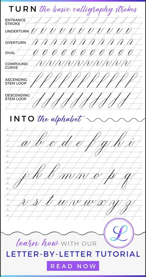 Copperplate Alphabet, Calligraphy Worksheets Free, Calligraphy For Beginners Worksheets, Calligraphy Alphabet Tutorial, Basic Calligraphy, Cursive Writing Practice, Calligraphy Writing Styles, Cursive Writing Practice Sheets, Calligraphy Letters Alphabet