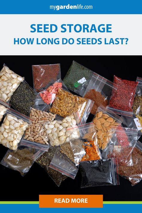 Seeds Storage, How To Store Seeds, Dollar Tree Organization, Seed Storage, Buy Seeds, Garden Life, Seed Germination, Vegetable Seeds, Seed Saving