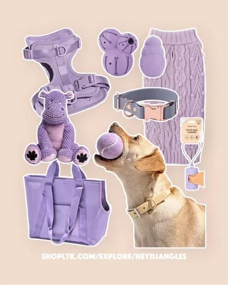 Lilac dog accessories for the pup in your life! Lilac, lavender, purple, Wild One, Target, Chewy, Color coordinated #lilac #purple #dog #puppy #dogaccessories #dogharness #dogcollar #dogtoys #LTKfamily #LTKunder100 #LTKstyletip Small Dog Stuff, Wild One Dog, Small Dog Supplies, Girly Dog Accessories, Dog Clothes Aesthetic, Accessories For Dogs, Aesthetic Dog Stuff, Cute Dog Stuff, Cute Dog Accessories