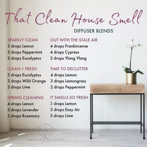 Clean House Smell, Essential Oil Diffuser Blends Recipes, Essential Oil Diffuser Recipes, Oil Diffuser Recipes, Essential Oil Mixes, Essential Oil Blends Recipes, Living Essentials Oils, Diffuser Recipes, Essential Oil Diffuser Blends