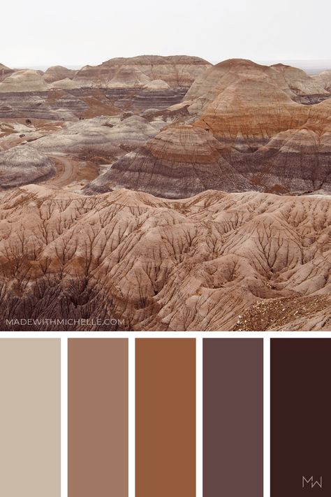 Natural Brown Color scheme inspired by Petrified Forest National Park. #graphicdesign #logodesign #madewithmichelle Brown Taupe Color Palette, Brown Colors Aesthetic, Brown Swatches Colour Palettes, Brown Pallete Color Aesthetic, Natural Color Palette Earth Tones Colour Schemes, Light Brown Pallete Color, Brown Palette Colour Schemes, Brown Color Palette Aesthetic, Brown Complimentary Colors