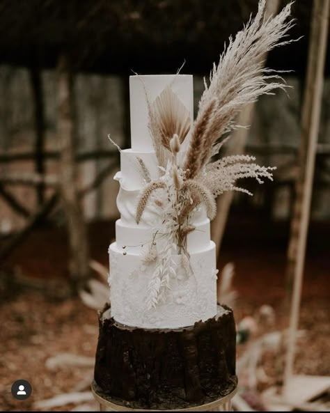 Dried Floral Wedding Cake, Pampas Cake Decor, Pampas Wedding Cake, Pampas Grass Wedding Cake, Pampas Centerpieces, Pampas Grass Cake, Cake Order Form Template, Feather Wedding Cake, Boho Cakes