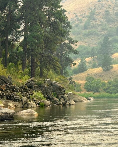 smokey mountains in summer ☕️🌲🪵🔥✨ - - - #idahohotsprings #lowmanidaho #smokeymountains Smokey Mountains Aesthetic, Tbosas Aesthetic, The Smokey Mountains, Idaho Hot Springs, Smokey Mountains National Park, Mountains Aesthetic, Smokey Mountain, Country Roads Take Me Home, Great Smoky Mountains