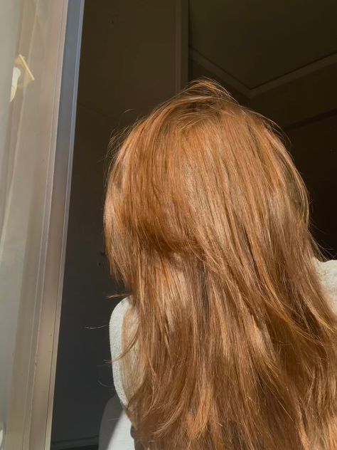 Orangeish Brownish Hair, Faded Ginger Hair, Orangey Brown Hair, Dark Orange Hair, Orange Brown Hair, Bleached Ends, Fried Hair, Dyed Curly Hair, Hair Color Orange