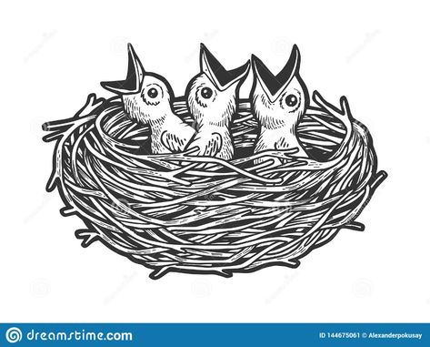 Bird Nest Illustration, Bird Nest Drawing, Nest Sketch, Crow Nest, Nest Drawing, Nest Illustration, Bird Line Drawing, Bird In Nest, 3d Butterfly Wall Art