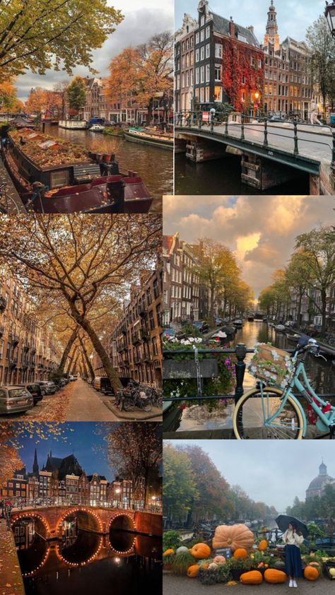 #autumn #october #netherlands #amsterdam #fall Amsterdam In Fall, Amsterdam In October, Amsterdam Autumn, Amsterdam Fall, Netherlands Aesthetic, Autumn October, Cute Backgrounds, Amsterdam, Netherlands