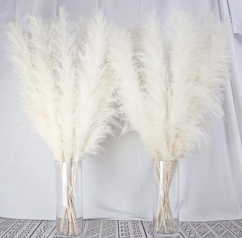 •Pampas Grass is 40 inches long and made from beige pampas grass that has been air-dried, picked, and treated with mixed leaves to enhance its bouquet. •This is suitable for floor vases and complements most home decor styles. The fluffy and elegant appearance of dried boho flowers adds beauty to any space. •Taking care of bulk pampas grass is simple as it requires no watering. Upon receiving the large pampas grass, placing it in the sun for a few hours will make the boho decor look more fluffy. White Pampas Grass Decor, Tall Clear Vase, Living Room Plants Decor, White Pampas, Wedding Floral Arrangements, Vases Wedding, Boho Farmhouse Decor, Floor Vases, Farmhouse Table Decor