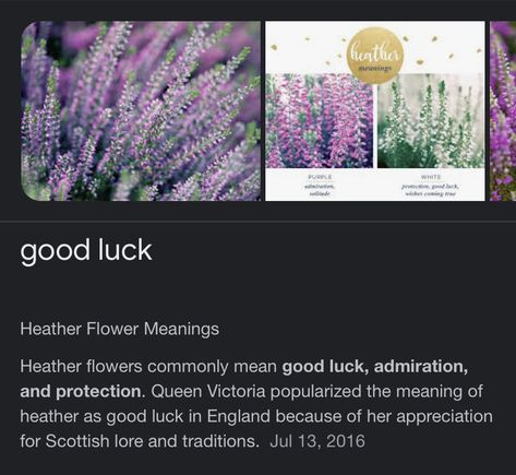 Heather Flower Meaning, Heather Meaning, Heather Flower, Flower Meanings, Queen Victoria, Planting Flowers, Meant To Be, Plants, Flowers