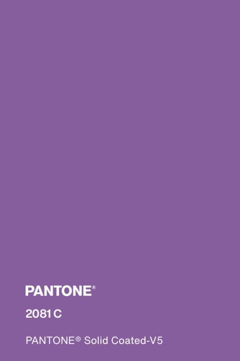 #pantone #purple #color #pantone2081c Pantone Purple, Color Boards, Purple Shades, Purple Colour, Medium Purple, Colour Board, Pastel Purple, Purple Aesthetic, Shades Of Purple