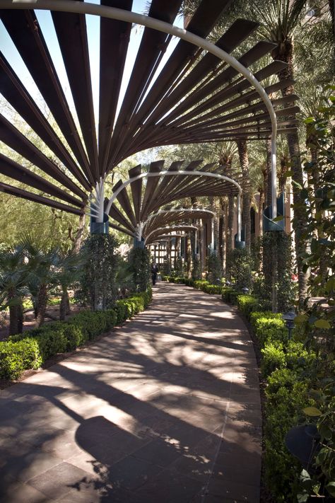 School Gardens, Landform, Landscape Structure, Urban Landscape Design, Building A Pergola, Modern Pergola, Pergola Design, Landscape And Urbanism, Landscape Architecture Design