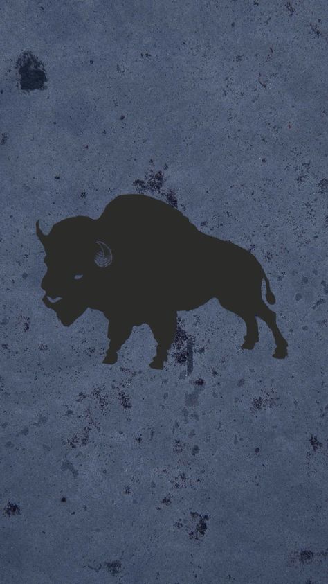 Just a buffalo Buffalo Wallpaper Iphone, Buffalo Wallpaper, High Quality Wallpapers, Phone Wallpapers, Buffalo, Moose Art, Phone Wallpaper, Iphone Wallpaper, Wallpapers