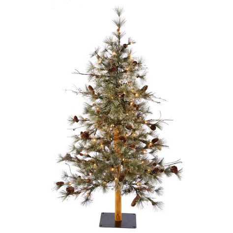 Vickerman Artificial Christmas Tree 3' x 29"Dakota Alpine Dura-lit LED 50 Warm White Lights - Walmart.com Alpine Christmas Tree, Vickerman Christmas Tree, Alpine Tree, Small Christmas Tree, Wood Trunk, Cool Christmas Trees, Artificial Trees, Metal Tree, Artificial Tree