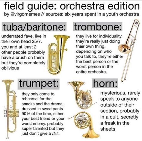 French Horn Memes, Trumpet Jokes, French Horn Aesthetic, French Horn Humor, Scream Band, French Horn Music, Trombone Music, Trumpet Sheet Music, Musician Humor