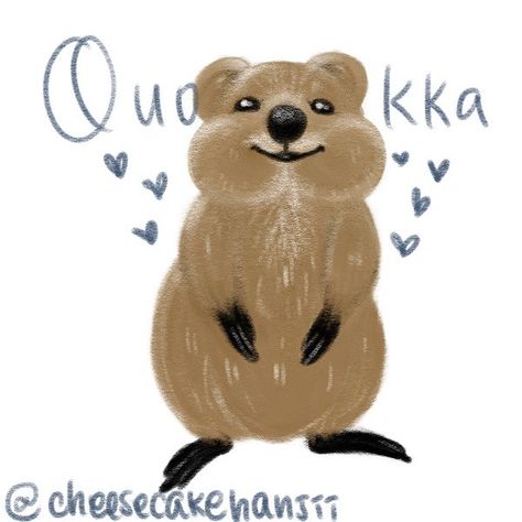 Quokka Pfp, Quokka Illustration, Quokka Animal, Pfp Drawing, Art For Kids Hub, Animal Reference, Bunny Drawing, Disney Dogs, Keramik Design