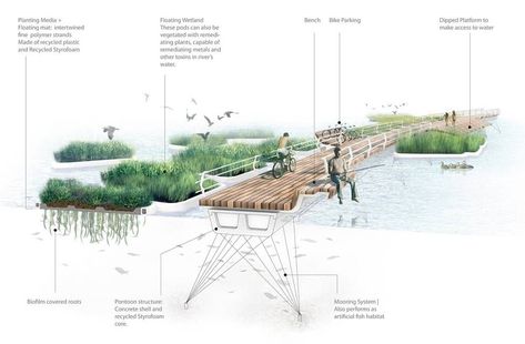 Landscape Diagram, Perspective Images, Landscape Gardening, Trees Landscape, Concept Diagram, Architecture Graphics, Landscape Architecture Design, Green Architecture, Diagram Architecture