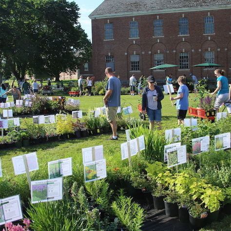 Gardening Club, Plant Sale Ideas, Lavender Nursery, Growing Cut Flowers, Fine Gardening Magazine, Backyard Plants, School Garden, Garden Club, Fine Gardening