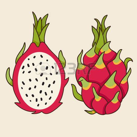 Dragon Fruit Illustration, Dragon Fruit Drawing, Dragon Fruit Vector, Fruit Du Dragon, Fruits Drawing, Flowers Clipart, Fruit Illustration, Face Pictures, Cactus Flowers