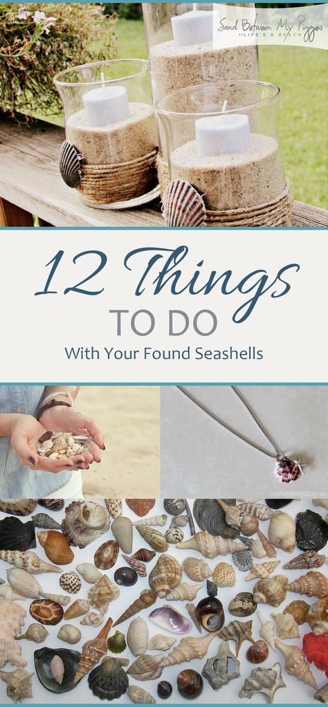 Crafts With Seashells Ideas, Rocks And Shells Craft, Large Seashell Display Ideas, Things To Do With Seashells, Resin Seashell Crafts, Crafts With Shells, Beach Sand Crafts, Seashell Garden, Seashell Diy