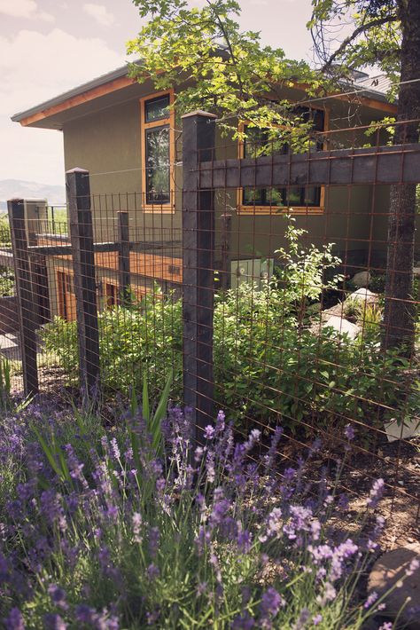 Steel + Timber Deer Fence - Modern - Landscape - Other - by Regenesis Ecological Design | Houzz Attractive Deer Fencing, Fence Modern, Deer Fencing, Deer Fence, Ecology Design, Black Deer, Modern Landscape, Garden Fencing, Modern Landscaping