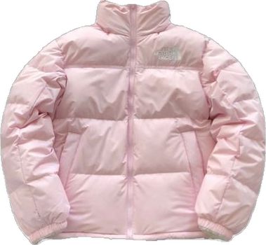 Hollister Pink Puffer Jacket, The North Face Pink Jacket, Light Pink Puffer Jacket, North Face Puffer Pink, North Face Puffer Jacket Pink, Pink Winter Jacket, North Face Puffer Jacket Aesthetic, Puffer Jacket Aesthetic, Pink Puffer Jacket Outfit