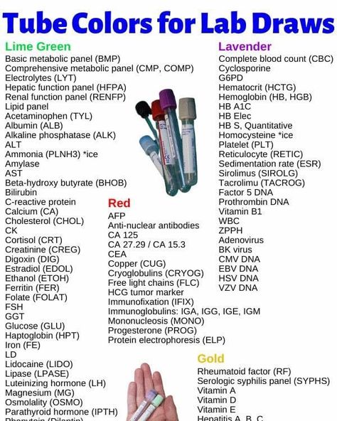 Tube Colors For Lab Draw, Order Of Draw Phlebotomy, Phlebotomy Notes, Chemo Nurse, Ekg Tech, Med School Prep, Phlebotomy Study, Phlebotomy Technician, Order Of Draw