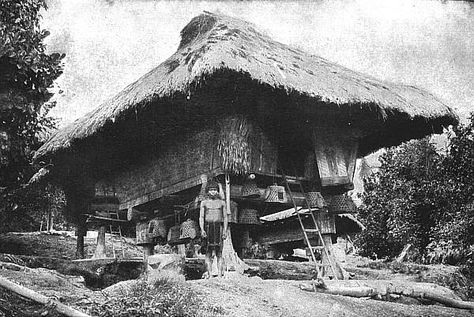 The Ifugao houses were small but well constructed, standing upon four or more posts, which were sometimes quaintly carved, and were invariably provided with projecting shoulders to prevent rats and other small animals from gaining entrance into the house. Are those bird cages hanging from the bottom of the house? Ifugao House, Indigenous Architecture, Luzon Philippines, Philippine Architecture, Berkeley University, Filipino House, Filipino Architecture, Environment References, Bahay Kubo