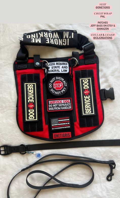 Service Dog Collar, Patience And Love Service Dog Vest, Service Dogs Vest, Psychiatric Service Dog Gear, Service Dog Vest Ideas, Cute Service Dog Vest, Dog Vest Pattern, Service Dog Gear, Gear Organization