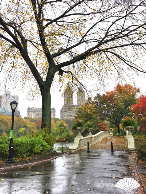 A rainy day in Central Park. November 2015. #MyViewYork Photo: @CXCArtist Central Park Fall, New York City Central Park, New York City Aesthetic, Visit New York City, Central Park Nyc, City Slickers, Places In New York, Autumn In New York, Central City