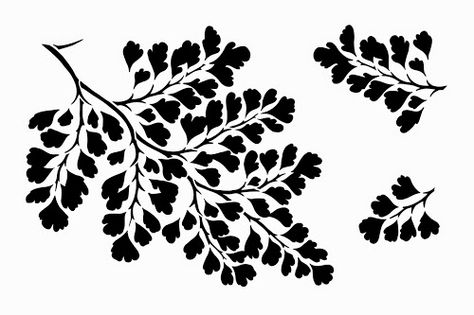 Maidenhair Fern, Blue Fern Studios, Unique Stamps, Stencil Templates, Craft Artists, Cricut Creations, Leaf Art, Painting Tools, Painting Supplies