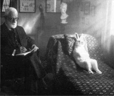 Freud and Rabbit — 'Sometimes a carrot is just a carrot' Alice Rabbit, Somebunny Loves You, Were All Mad Here, Karl Marx, Charles Darwin, Sigmund Freud, Rabbit Hole, Salvador Dali, White Rabbit