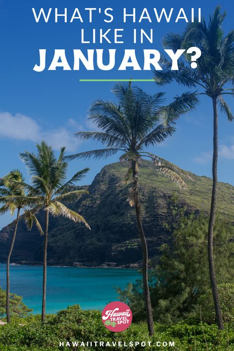 Escape to the tropical paradise of Hawaii this January! Discover the warm weather, beautiful beaches, and exciting activities that await you. Plan your dream vacation with our guide to the best things to see and do in Hawaii during the winter season. Get all your questions answered about whether or not it's worth visiting Hawaii in January from a Hawaii travel expert! Hawaii In January, Hawaii In February, Visiting Hawaii, Hawaii Cruise, Hawaii Trip Planning, Trip To Hawaii, Hawaii Trip, Visit Hawaii, Hawaiian Vacation