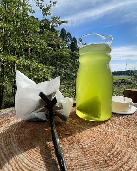 Keep Body hydrated with Kagoshima Sencha Teabag✅ KAGOSHIMA SENCHA TEABAG GREEN TEA Available @kabaseicha Please Always DM Us For your Orders Email: info@kabaseicha.com @ Ei-Cho Green tea city #Eichokamibeppu KAGOSHIMA MATCHA - 鹿児島抹茶 KAGOSHIMA CHA - 鹿児島茶 #kagoshimacha #kagoshimagyokuro #kagoshimamatcha #kagoshimasencha #genmaicha #鹿児島茶 🍵 2024 Green tea harvest! #minamikyushu #kabaseicha #Greentea #Matcha #Tea #Blacktea #Hojicha #Gyokuro #Sencha 2024 Green, Kagoshima, Kyushu, Matcha Tea, Black Tea, Green Tea, Matcha, Tea, Green