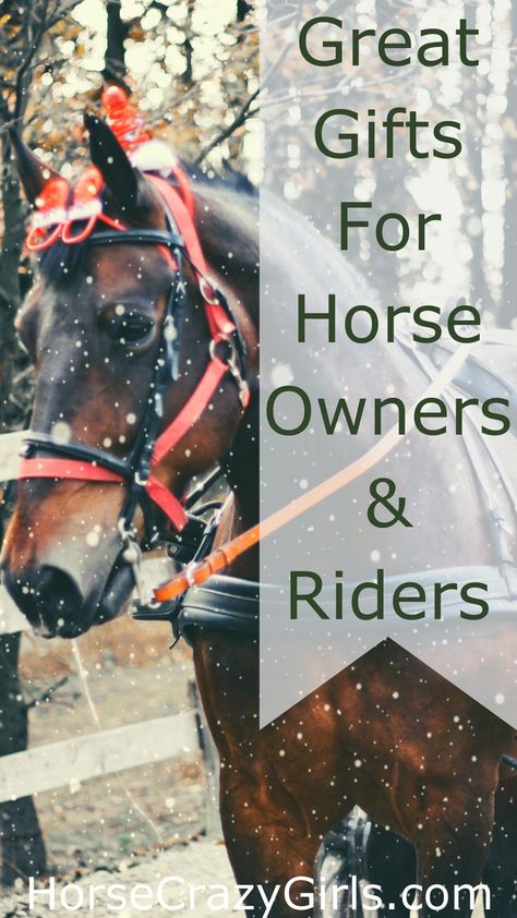 A horse standing in the snow connected to a buggy. Personalized Horse Gifts, Horse Halloween Costumes, Horse Halloween, Friends Women, Happy Horse, Horse Games, Free Horses, Horse Owner, Horse Gifts