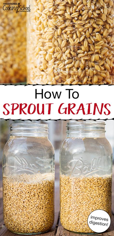 Sprouted Grain Bread Recipe, Wheat Berry Recipes, Ancient Grains Recipes, Goat Milk Recipes, Sprouted Grain Bread, Sprouted Bread, Sprouted Grains, Nourishing Traditions, Better Digestion