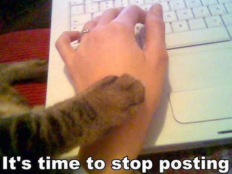 For everyone on Pinterest, Twitter and Facebook - It's time to stop posting, cat wisdom, computer addiction, wasting, intervention, only friends let Tumblr Users, Reaction Pic, Its Time To Stop, Smosh, Tumblr Funny, Funny Images, Say Hello, I Laughed, Just In Case