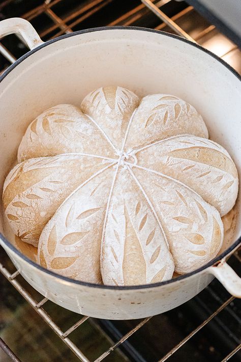 Pumpkin Shaped Sourdough, Bread Scoring Patterns, Sourdough Scoring, Recipe Using Sourdough Starter, Bread Scoring, Sourdough Bread Starter, Bread Designs, Sourdough Starter Discard Recipe, Homemade Sourdough Bread