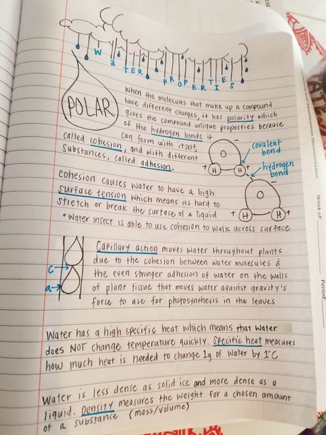 Water properties notes Biology Notes Properties Of Water, Biology Water Notes, Properties Of Water Notes, Ap Biology Notes, Water Properties, Water Notes, Properties Of Water, Biochemistry Notes, Chemistry Posters