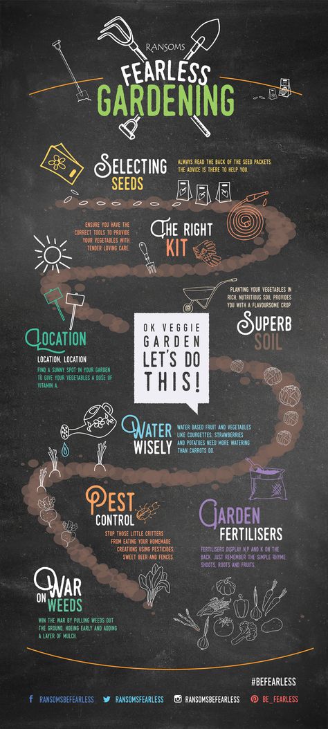 To finalise this month's vegetable topic, we have created an infographic, summarising all the top tips we have posted this month. #BeFearless #Ransoms #JerseyCi #ExperienceJersey #Gardening #Infographic #FearlessGardening #SelectingSeeds #TheRightKit #Vegetables #Location #SuperbSoil #WaterWisely #PestControl #GardenFertilisers #WaronWeeds #PestControl Garden Infographic, Garden Perspective, Gardening Infographic, Garden Center Displays, Kitchen Gardening, Guerrilla Gardening, Harvest Sign, Signage Ideas, Property Ideas