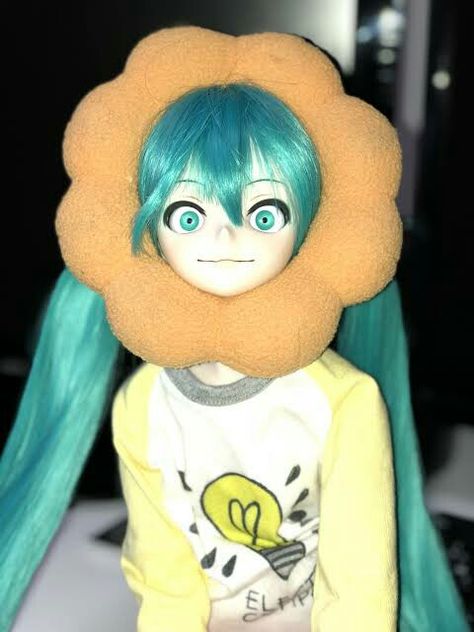 Hatsune Miku Doll, Miku Doll, Miku Chan, Miku Hatsune Vocaloid, Anime Figurines, Creepy Dolls, Anime Dolls, 영감을 주는 캐릭터, Funny Anime Pics